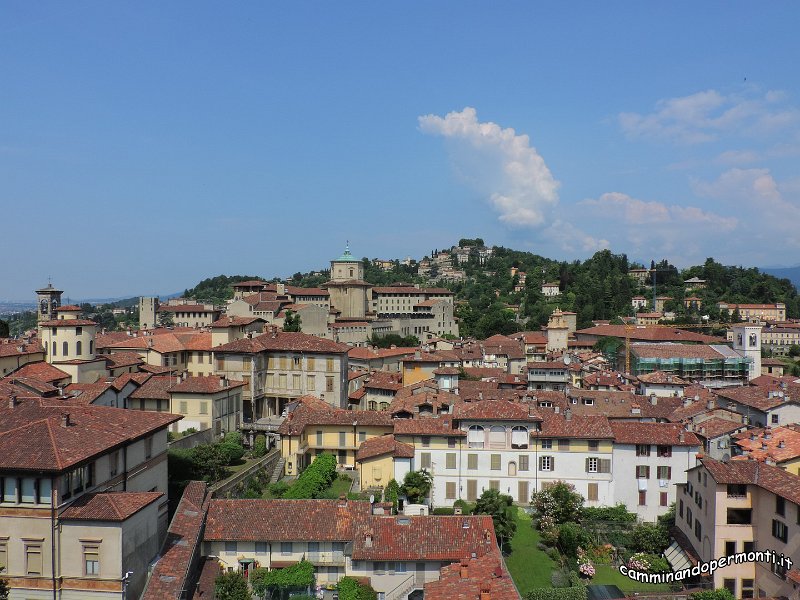 37 Bergamo alta.JPG -           